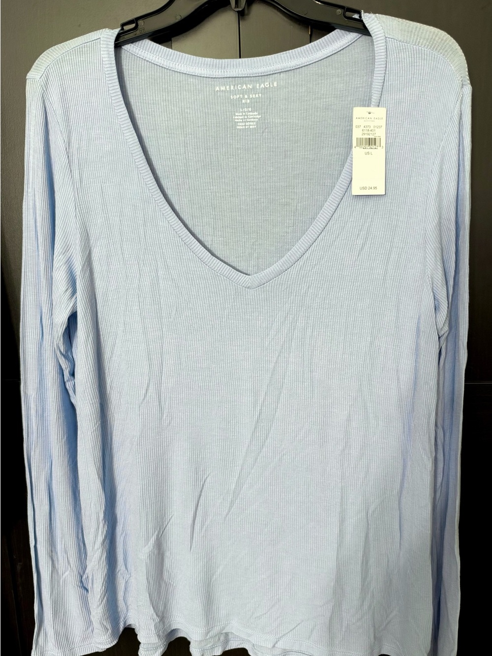 American Eagle Outfitters Pale Blue Ribbed V-Neck Long Sleeve Top NWT - L